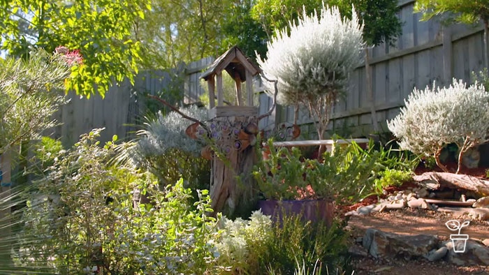 Garden filled with Australian native plants and a wooden bird feeder on top of a tree stump