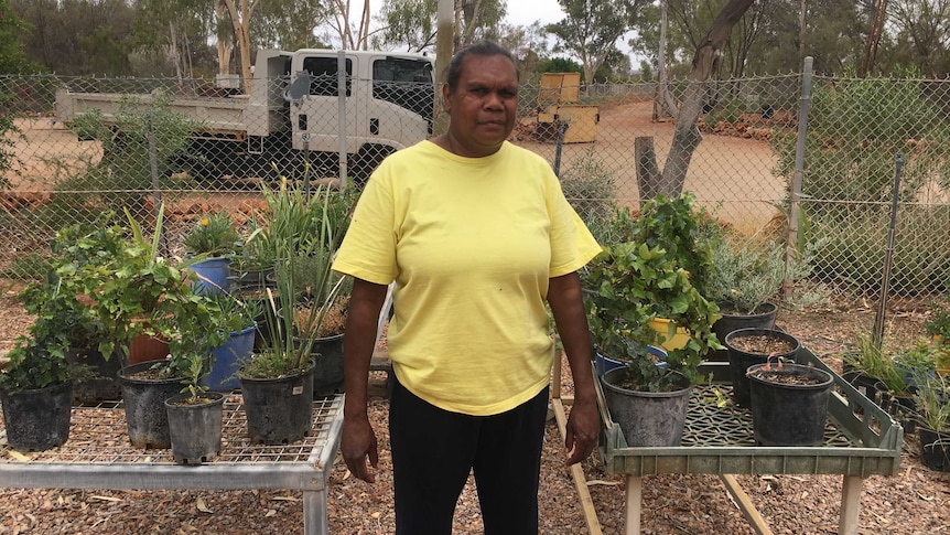 A woman standing next to two tables of potplants.