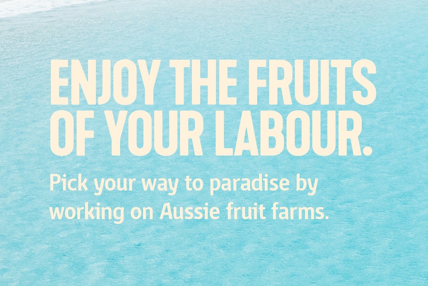 a slogan reading enjoy the fruits of your labor sits on a backdrop of a stunning beachline