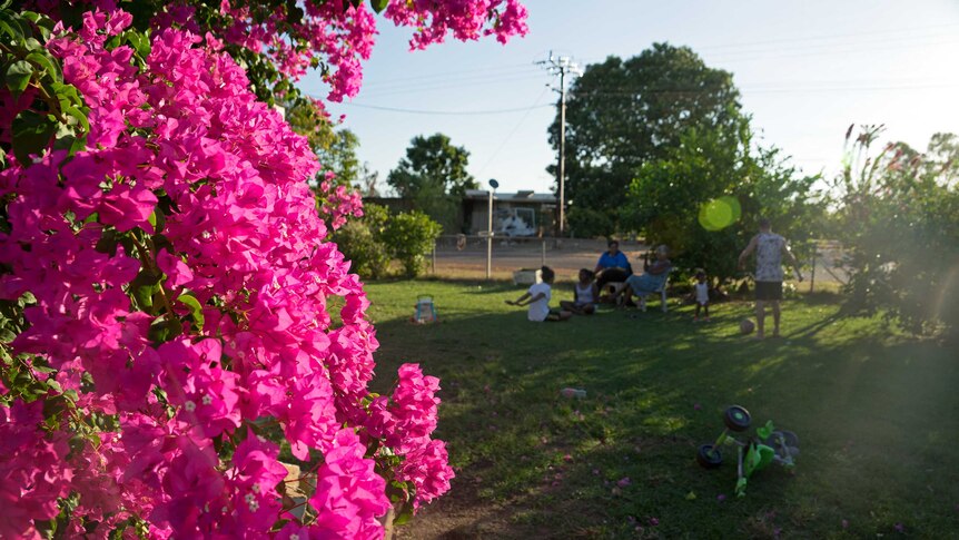 Pink bougainvillea flowers frame the left side of the photo, while the Raggett family sits on chairs behind.