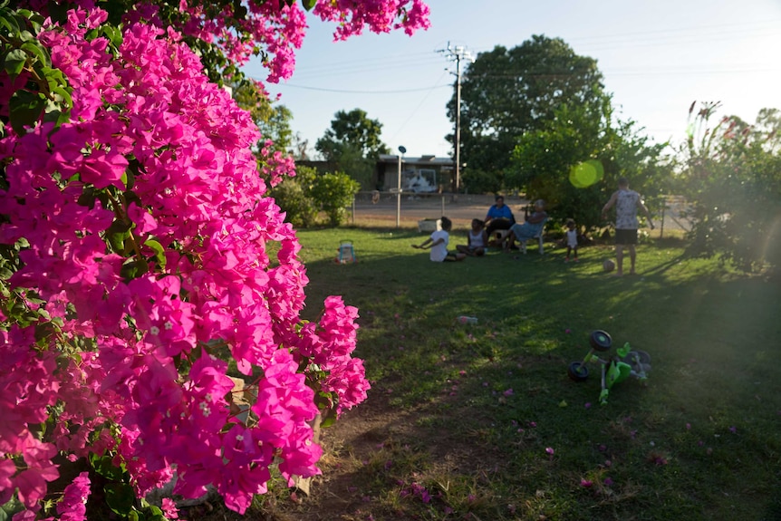 Pink bougainvillea flowers frame the left side of the photo, while the Raggett family sits on chairs behind.