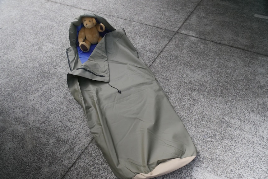A teddy bear sits inside of a swag-like bag 
