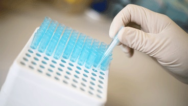 Cancer research laboratory generic image.