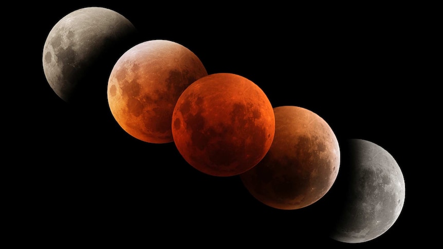 Phases of a total lunar eclipse