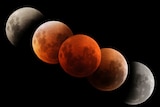 Phases of a total lunar eclipse