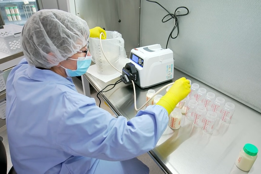 A woman wearing a protective lab coat, face mask and cap measures milk into small bottles.