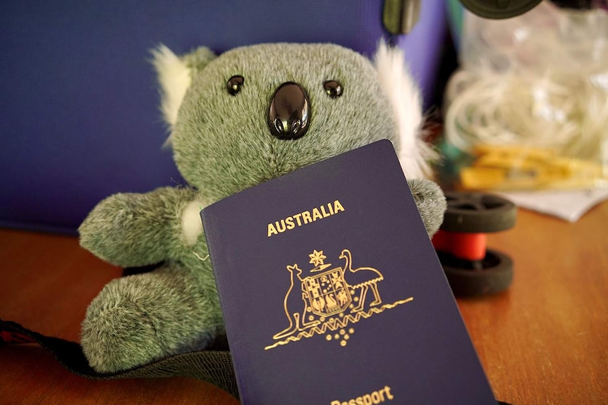 Stuffed toy koala on a table with an Australian passport in a Brisbane house