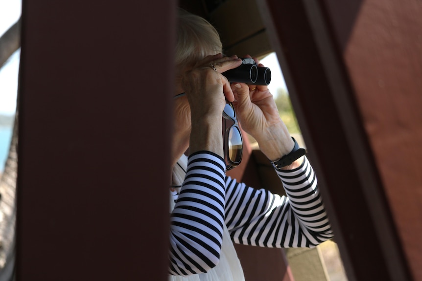 A woman peers through binoculars in the shade of a wooden pavilion.