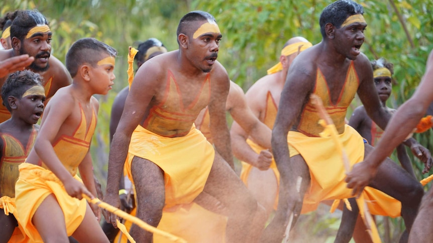 Dancers in yellow move across the sand in front of a stringybark forest.
