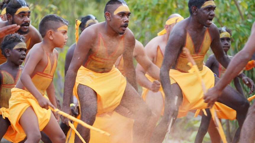 Yolngu dancers dressed in yellow at Garma opening festival.