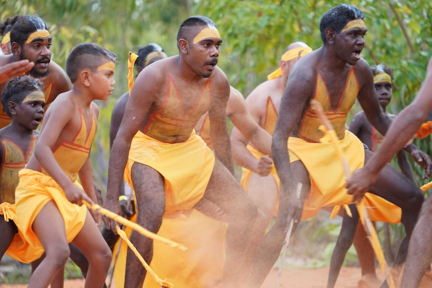 Yolngu dancers dressed in yellow at Garma opening festival.