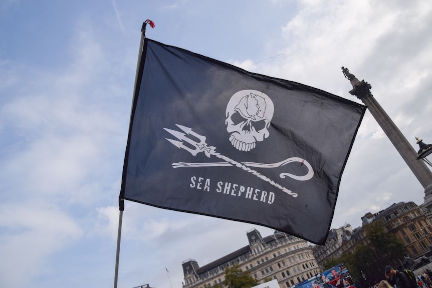 The Sea Shepherd flag.