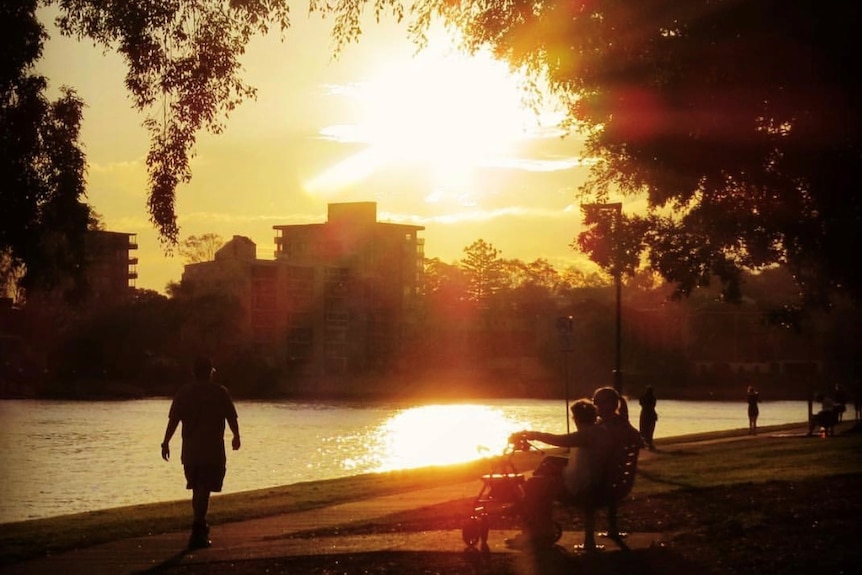 A hot afternoon on the banks of the Brisbane River