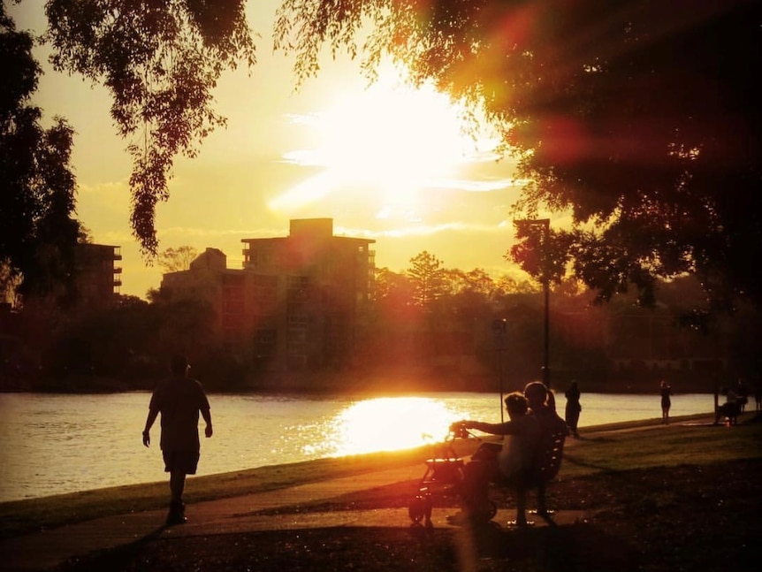 A hot afternoon on the banks of the Brisbane River