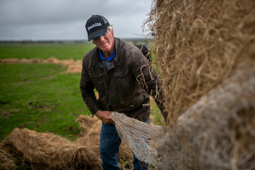 A man in a black cap pulls away netting from large round hay bales under an overcast sky in a lush green paddock.