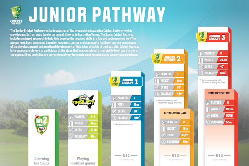 Cricket Australian Junior Pathway graphic