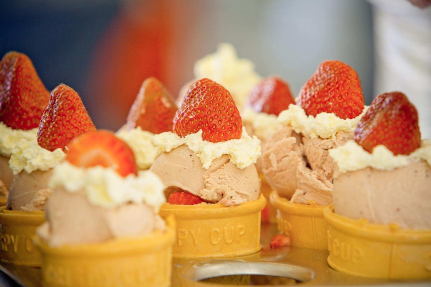 A tray of strawberry sundaes