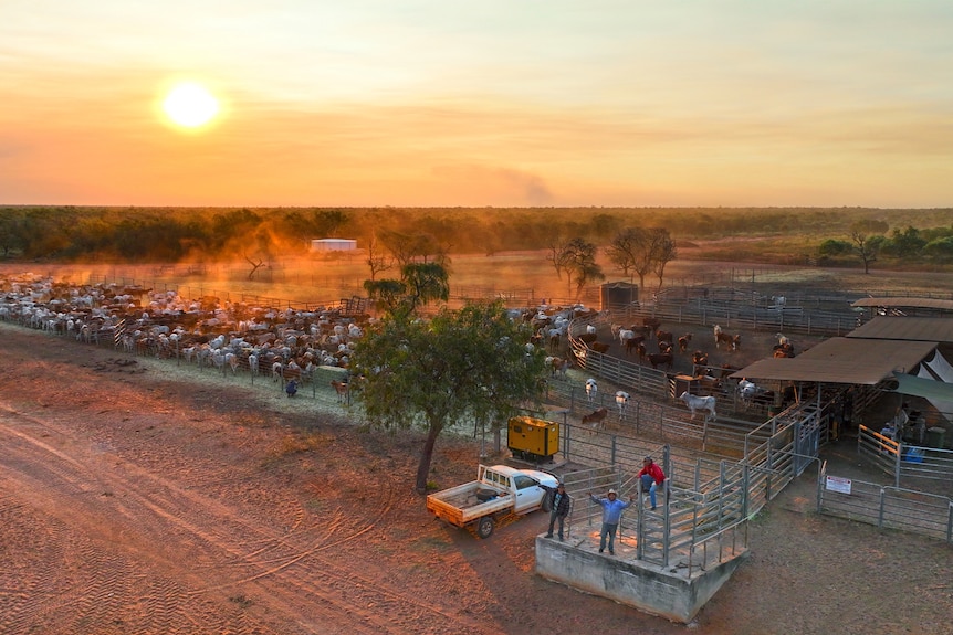 An outback cattle station at dusk.