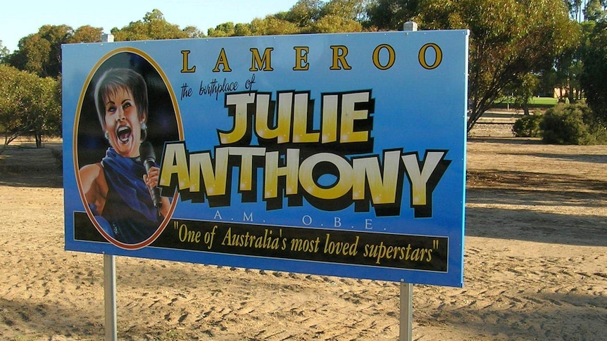 This sign of Julie Anthony was stolen from Lameroo.
