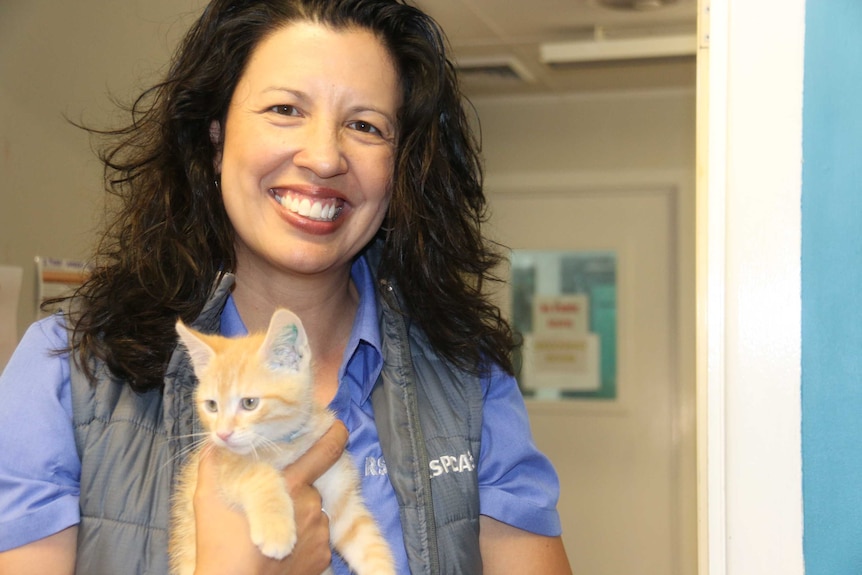 RSPCA ACT chief executive Tammy Ven Dange with Marshall, one of the kittens waiting to find a new owner.