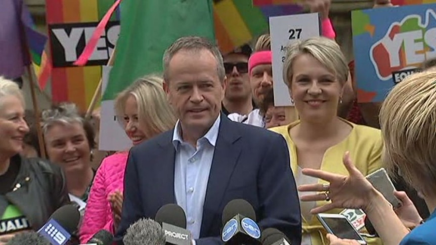 Opposition Leader Bill Shorten addresses same-sex marriage supporters in Sydney.
