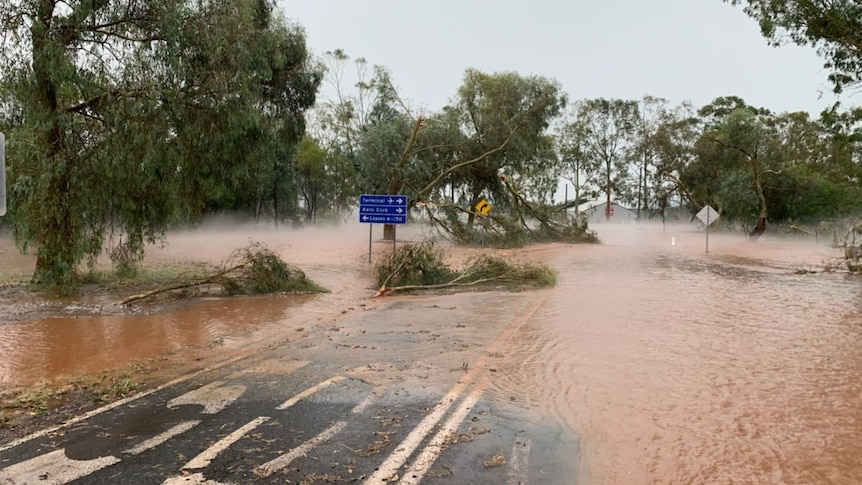 A flooded road and fallen trees in Griffith NSW