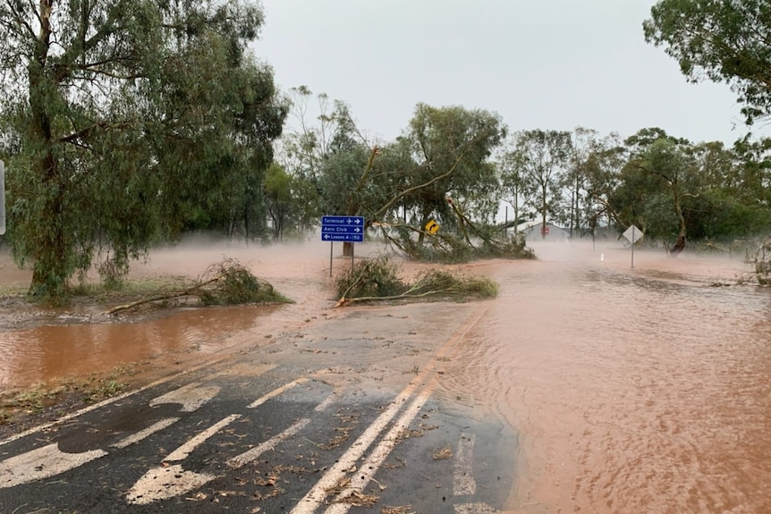 A flooded road and fallen trees in Griffith NSW
