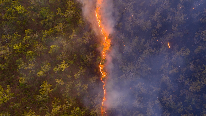 Image shows line of fire separating green scrub and other scrub clouded by smoke