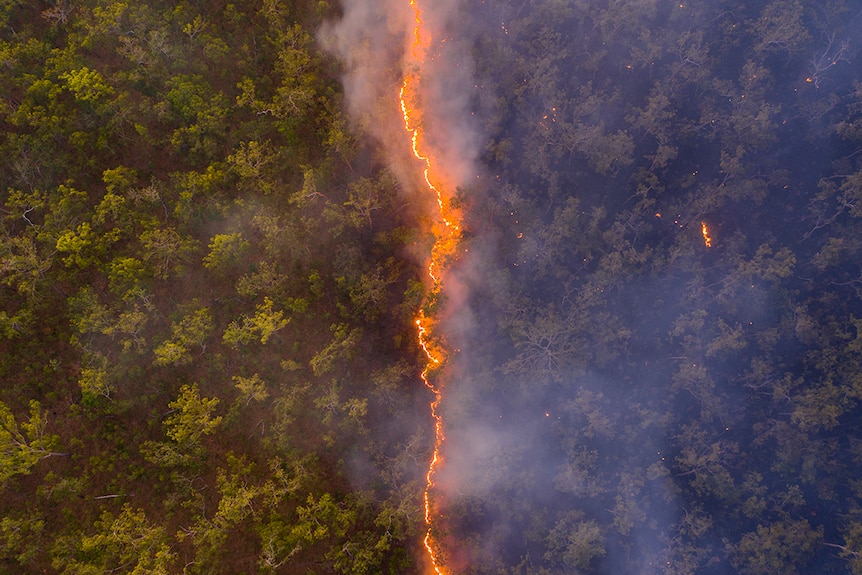 Image shows line of fire separating green scrub and other scrub clouded by smoke