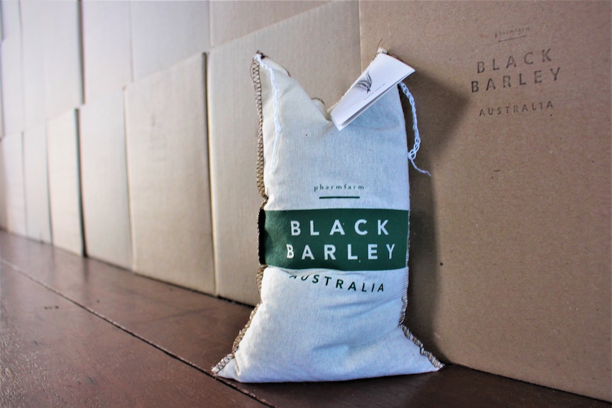 Black barley in a bag. 