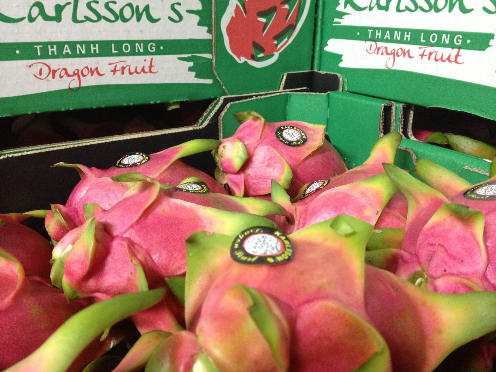 Fruitful Northern Territory dragon fruit season comes to an end ABC News