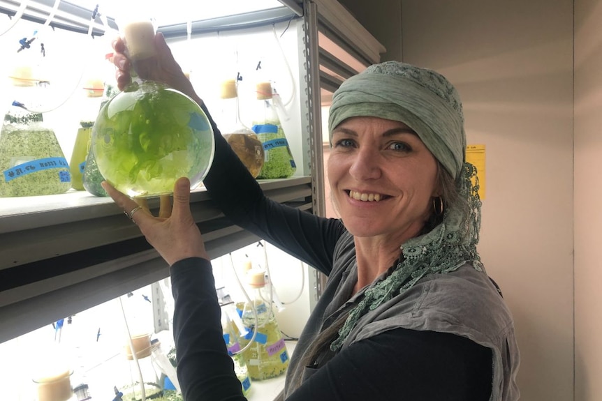 A woman in a green headscarf holds up a specimen of green seaweed in a glass vial.