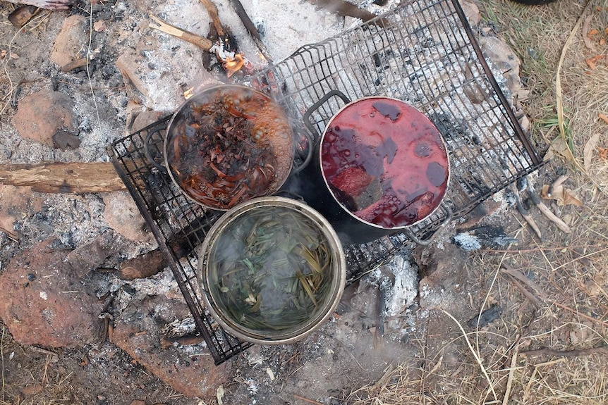 An aerial shot of three pots boiling native foliage for pigment.