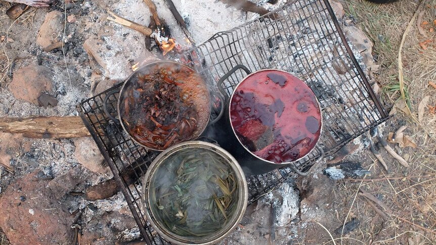 An aerial shot of three pots boiling native foliage for pigment.
