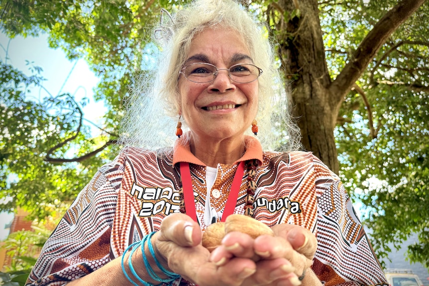 A grey haired indigenous woman cups Bunya nut kernels in her hands.