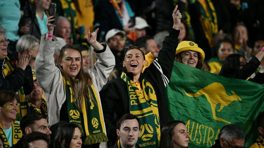 Aussie fans in the stadium kitted out.
