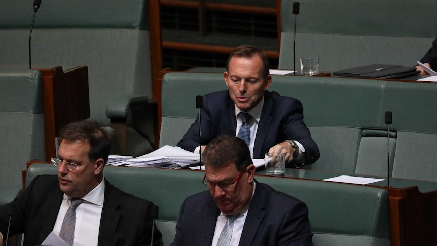 Former prime minister Tony Abbott's did not have the influence to stop party support for NEG.