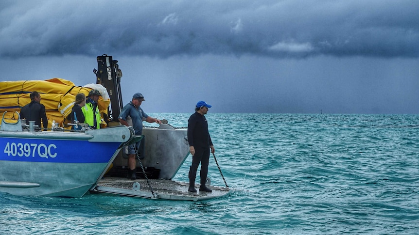 Wet and windy weather has made it difficult to install underwater nets to help coral regrow on the reef.