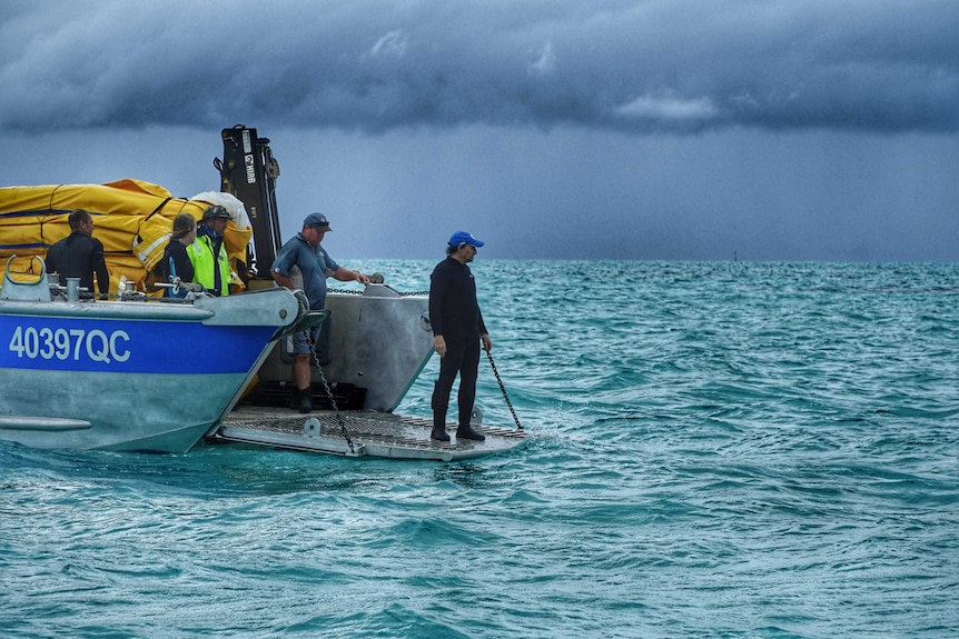 Wet and windy weather has made it difficult to install underwater nets to help coral regrow on the reef.