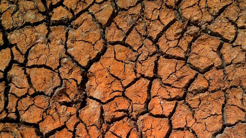 Cracked earth in drought conditions.