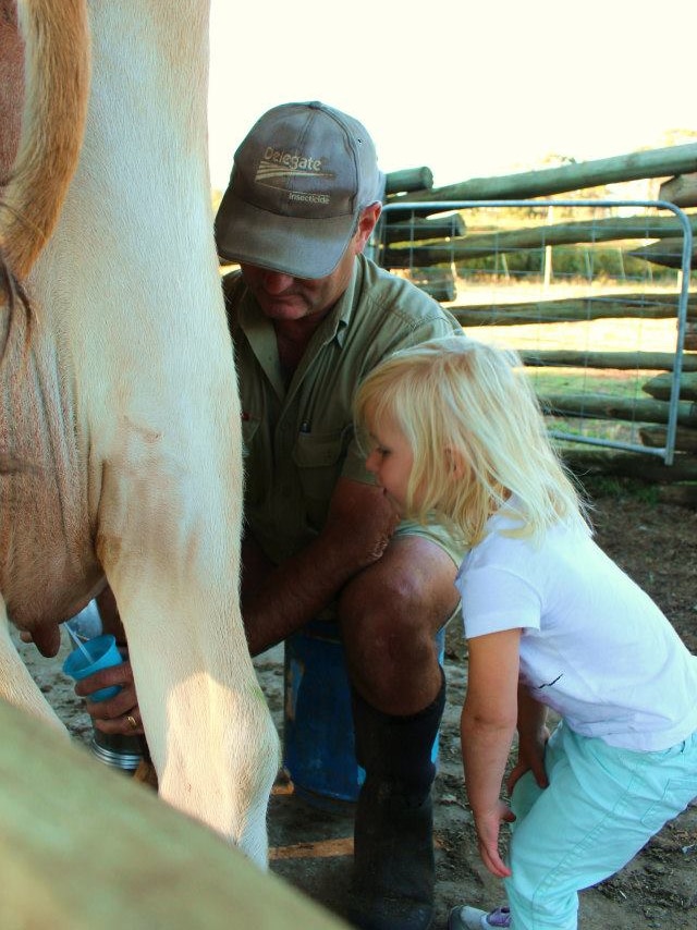 Tasmanian farmer Rowen Carter showing a young girl how to milk a cow.
