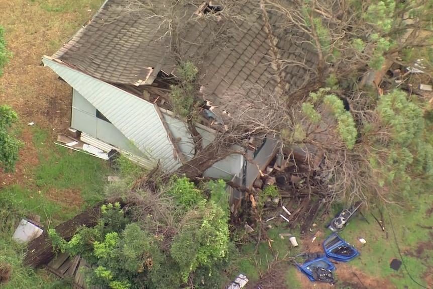 A tree and a house damaged 