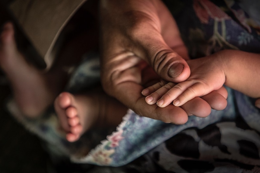 An adult's hand holding a baby's hand.