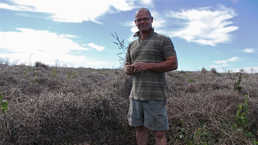 Berrybank Farm director Jock Charles says it's longest harvest he's ever done. (File photo)