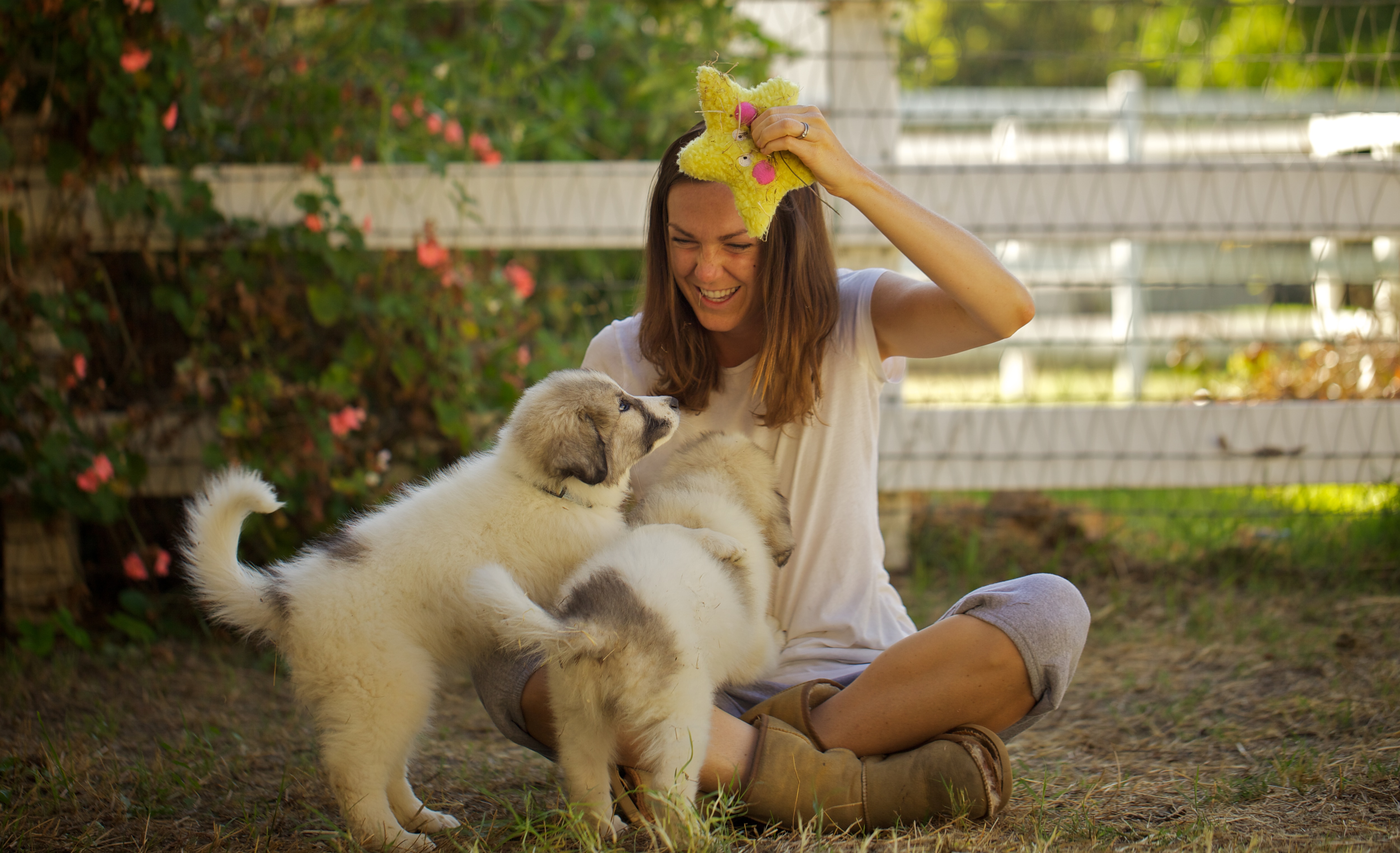 A woman smiling at two puppies, sitting outside.
