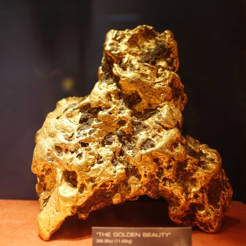 The Golden Beauty gold nugget is pictured at The Perth Mint in Perth on Wednesday April 24, 2013.