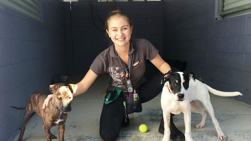Eleea Navarro Animal Welfare League Queensland worker