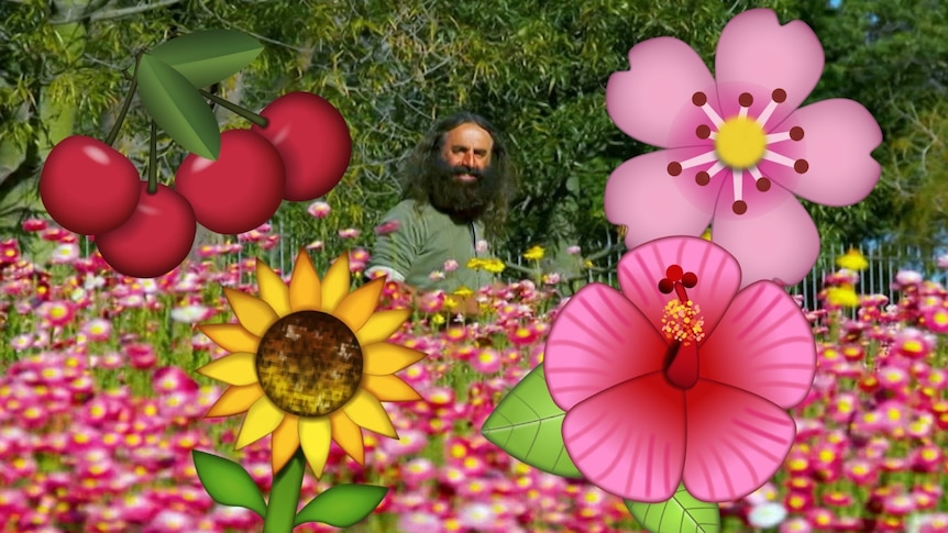 Costa Georgiadis in a field of flowers surround by cherry and flower emoji