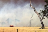 Firefighters battle a bushfire at Heyfield in Gippsland.