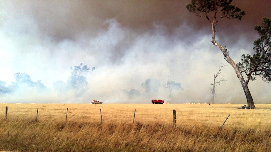 Firefighters battle a bushfire at Heyfield in Gippsland.